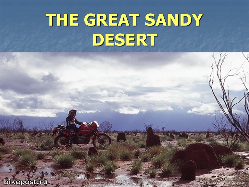 THE GREAT SANDY DESERT